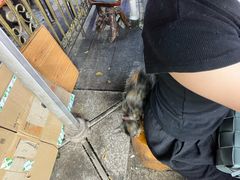 -老陈婆手工面庄