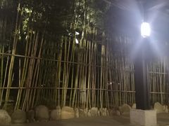 -三江森林温泉度假区