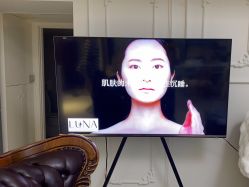 -LUNA皮相美·骨相美高级美感