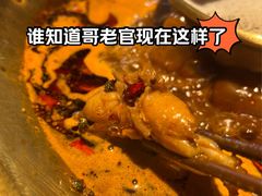 -哥老官重庆美蛙鱼头(日月光店)