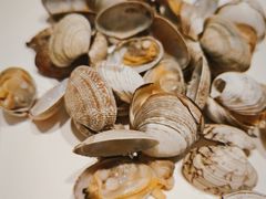 -海味当家·蒸锅海鲜(中山广场创始店)