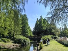 -上海滨江森林公园