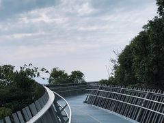 -福道