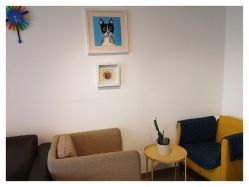 -净漪造型 PURE RIPPLE