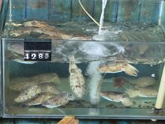 -蓝湾碧波·老字号·疍家非遗海上餐厅