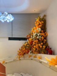 -WENDY·温迪皮肤管理