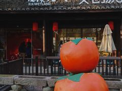 -西溪国家湿地公园