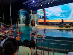 -三亚海昌梦幻海洋不夜城