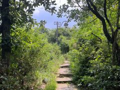 -杭州半山国家森林公园