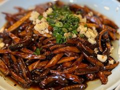 茭白炒鳝丝-双塔老饭店