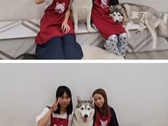 -星多哈·狗咖·拼豆·咖啡