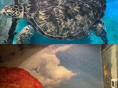 -正佳极地海洋世界