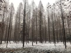 -河南省黄河迎宾馆