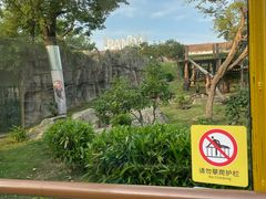 -武汉动物园