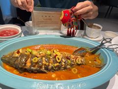 -阿五黄河大鲤鱼(英协路店)