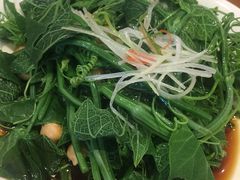 -巴依老爷新疆美食(望京小街店)