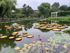 -国家植物园南园