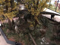 -湖南省地质博物馆