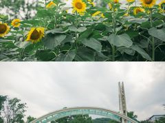 -南山植物园
