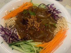 关东大拉皮-石老头关东饺子王·东北菜(嘉华鑫城店)