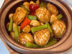 -千灯盛汇·头牌粤菜(致越优城店)