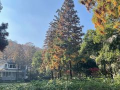 -杭州花家山庄