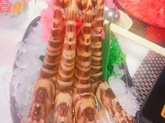 -鲜入围煮花胶鸡海鲜火锅