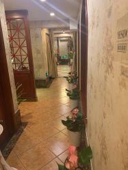 -YESIDO椰岛美容