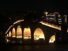-万绿园