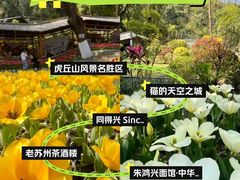 -嵖岈山风景区
