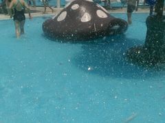 -热带风暴水上乐园(新镇路)