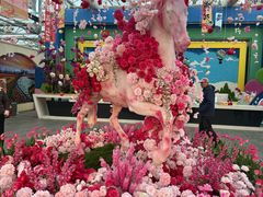 -荷兰花海