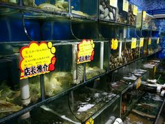 -蚝专家(北滘店)