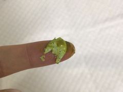 -北京观赏动物医院·24小时大型综合·猫专科·异宠专科