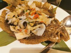 鲜花椒油泼多宝鱼-铭轩中餐厅·海南菜·粤菜(亚龙湾瑞吉店)