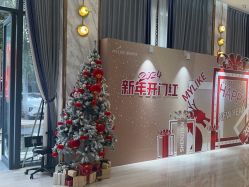 -深圳美莱医疗美容医院