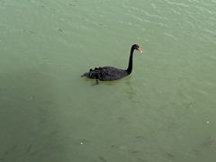 -广州白江湖森林公园