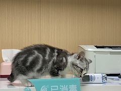 -谐和贝康宠物医院24小时·宠保定点(急重症转诊中心)