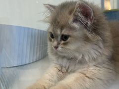 -万达广场(临港店)