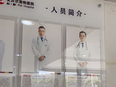 -艾贝尔宠物医院·24H转诊中心·肿瘤猫专科(江宁双龙店)