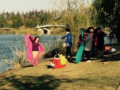 -上海长兴岛郊野公园