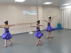 -梧桐花语舞蹈培训中心(潞城校区)