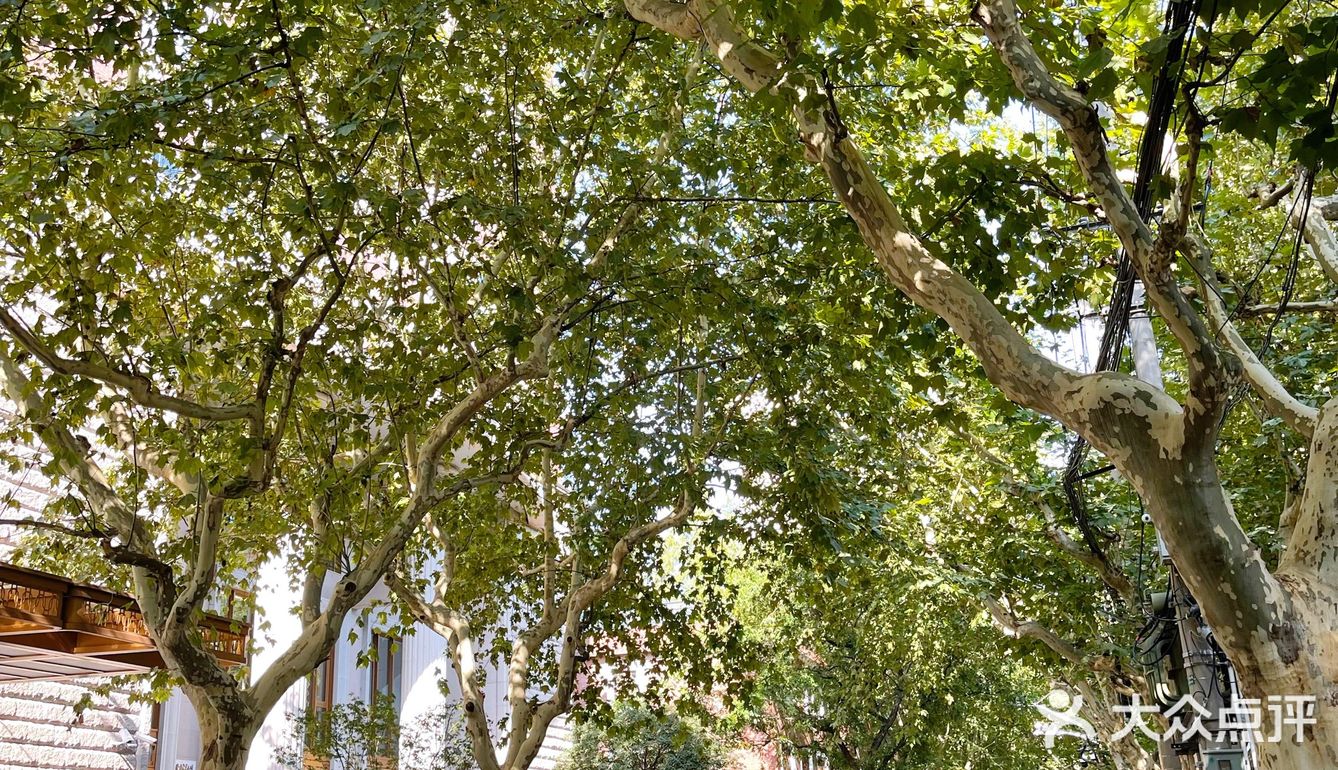 如此有情怀又有颜值的快闪店｜COACH