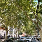 如此有情怀又有颜值的快闪店｜COACH