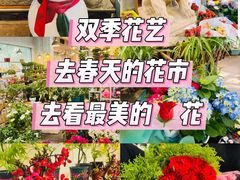 -双季花艺园艺市场(浦东店)
