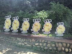 -终南山南五台景区