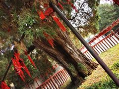 -四门塔风景区