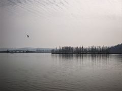 -东湖落雁景区