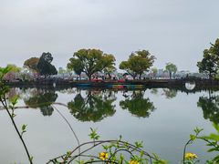 -无锡蠡湖国家湿地公园-蠡园