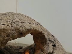 -苏州本色美术馆